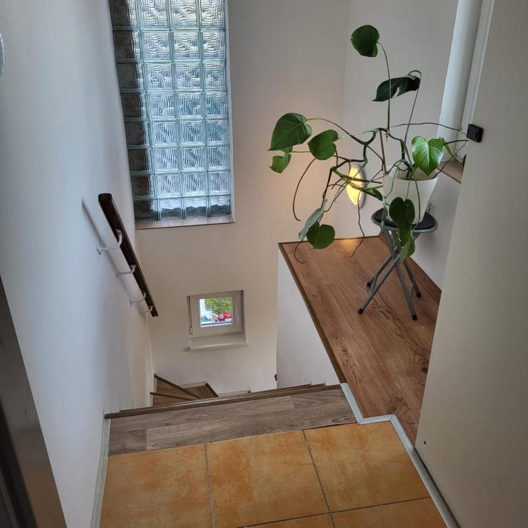 Apartman ,,Rokytka" 布拉格 外观 照片